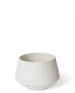 Colton Pot -Waldecks Store 31 56a19798 2520 4afe 808b 8fe86b1cda85