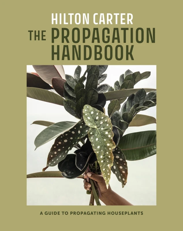 Propagation Handbook 1 Propagation Handbook