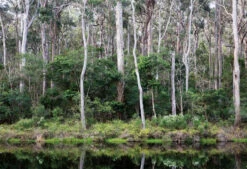 An Australian Garden -Waldecks Store 9781760760939 1