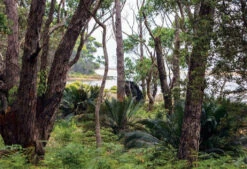 An Australian Garden -Waldecks Store 9781760760939 2