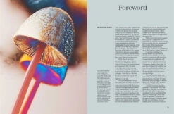 The Future Is Fungi -Waldecks Store 9781760761608 3