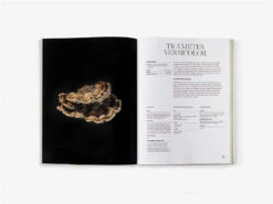 The Future Is Fungi -Waldecks Store 9781760761608 8