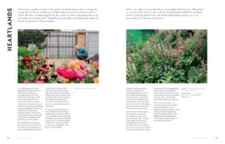 Super Bloom -Waldecks Store 9781760762698.IN06