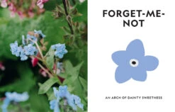 Super Bloom -Waldecks Store 9781760762698.IN08