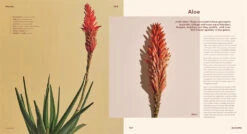 Bloom -Waldecks Store 9781922417855.IN02