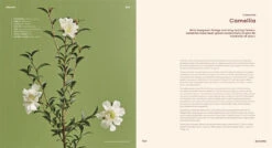 Bloom -Waldecks Store 9781922417855.IN06