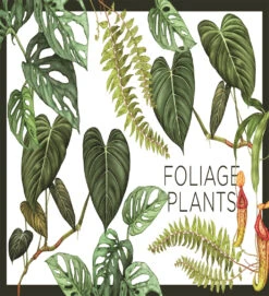 Plantopedia -Waldecks Store 9781925811773.IN04