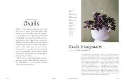 Plantopedia -Waldecks Store 9781925811773.IN06