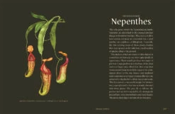 Plantopedia -Waldecks Store 9781925811773.IN07