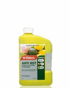 Anti Rot