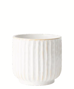 Pot Clovelly -Waldecks Store Clovelly3