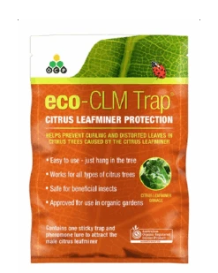 Eco Citrus Leaf Miner Trap