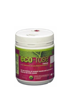 Eco Rose