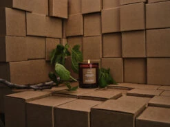 Deborah - Fig Tree Candle -Waldecks Store FigTree