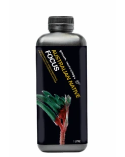 Australian Native Focus