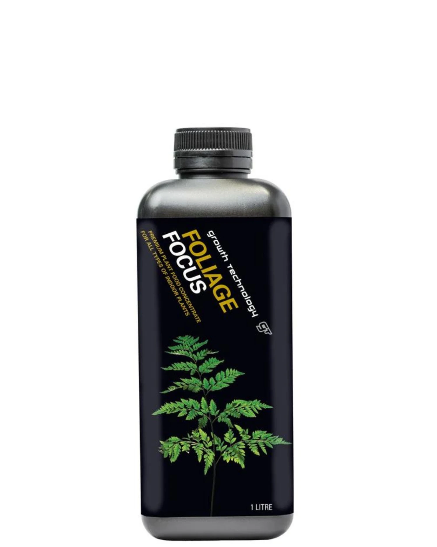 Foliage Focus 1 Foliage Focus