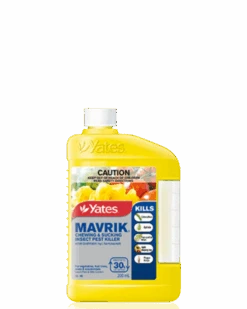 Mavrik