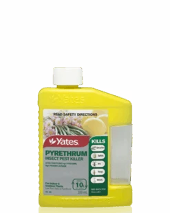Pyrethrum Insecticide