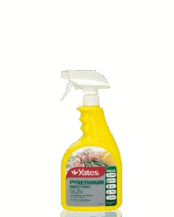 Pyrethrum Spray - Ready To Use