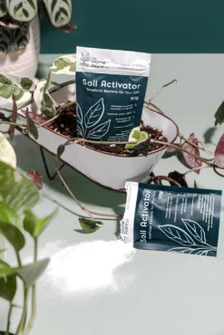 Soil Activator -Waldecks Store PlantMadeCo.CaitlinRuth.January2022 08 1024x1024 2x 0196ba11 22ef 40c9 b3bf c520f1420cf4