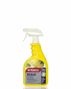 Scale Gun - Ready To Use