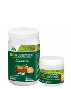 Eco Seaweed