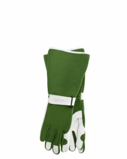 Sprout Goatskin Gloves - Long Sleeve