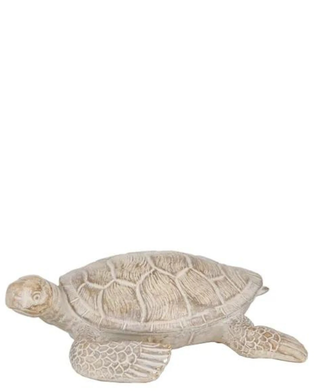 Terry Turtle Resin Sculpture 1 Terry Turtle Resin Sculpture