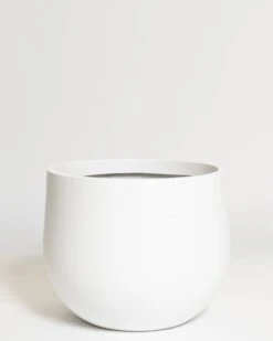 Hakea Pot 24 Hakea Pot -Waldecks Store Terreno ecomm 25 large