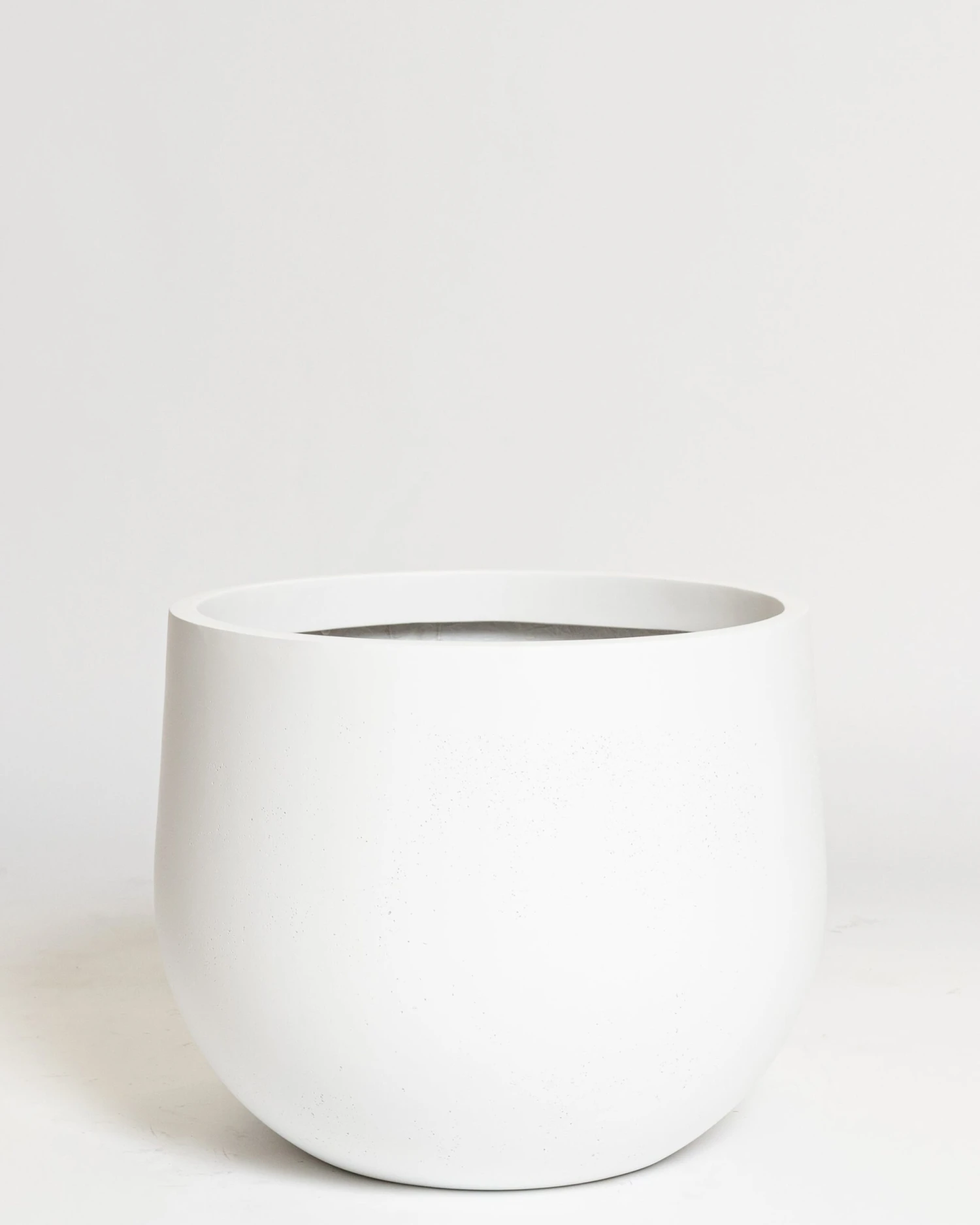 Hakea Pot 5 Hakea Pot - Image 5