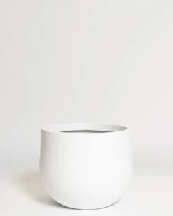 Hakea Pot 23 Hakea Pot -Waldecks Store Terreno ecomm 25 medium