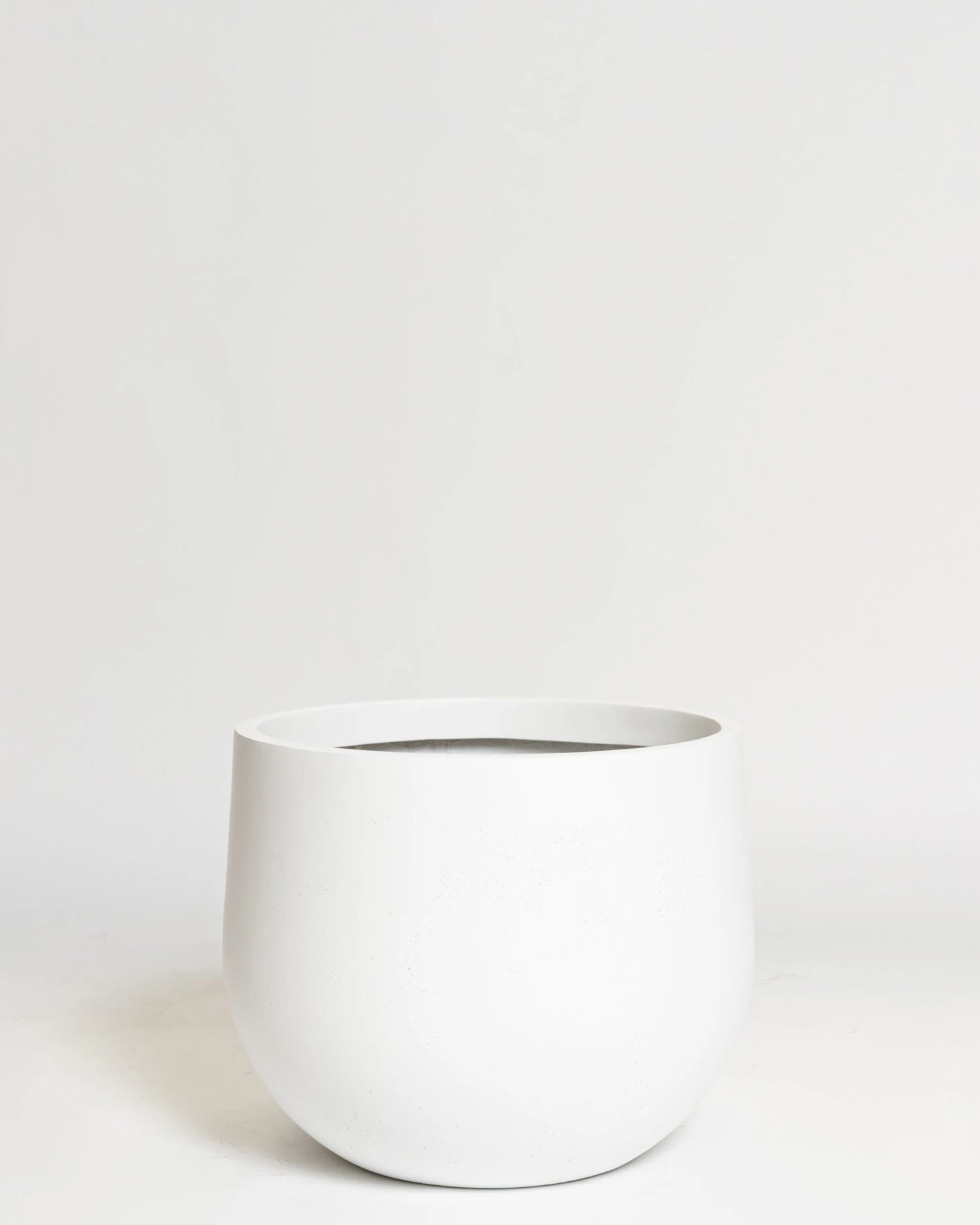 Hakea Pot 4 Hakea Pot - Image 4