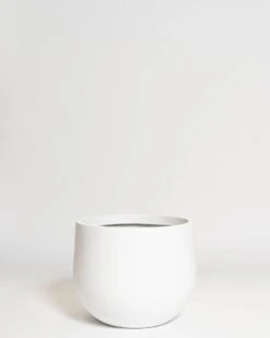 Hakea Pot 22 Hakea Pot -Waldecks Store Terreno ecomm 25 small