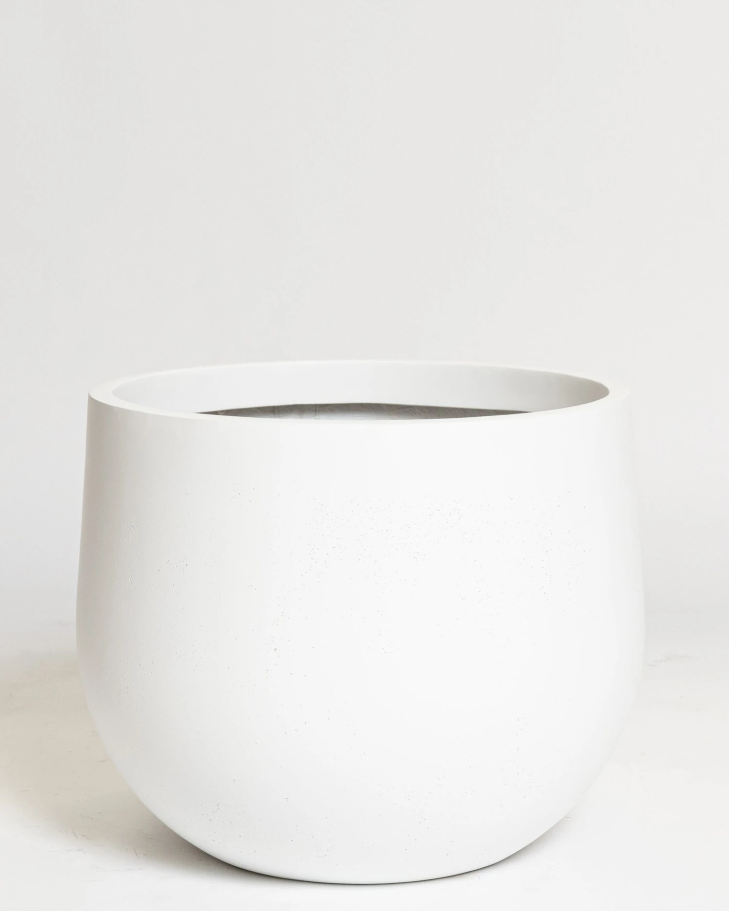 Hakea Pot 2 Hakea Pot - Image 2