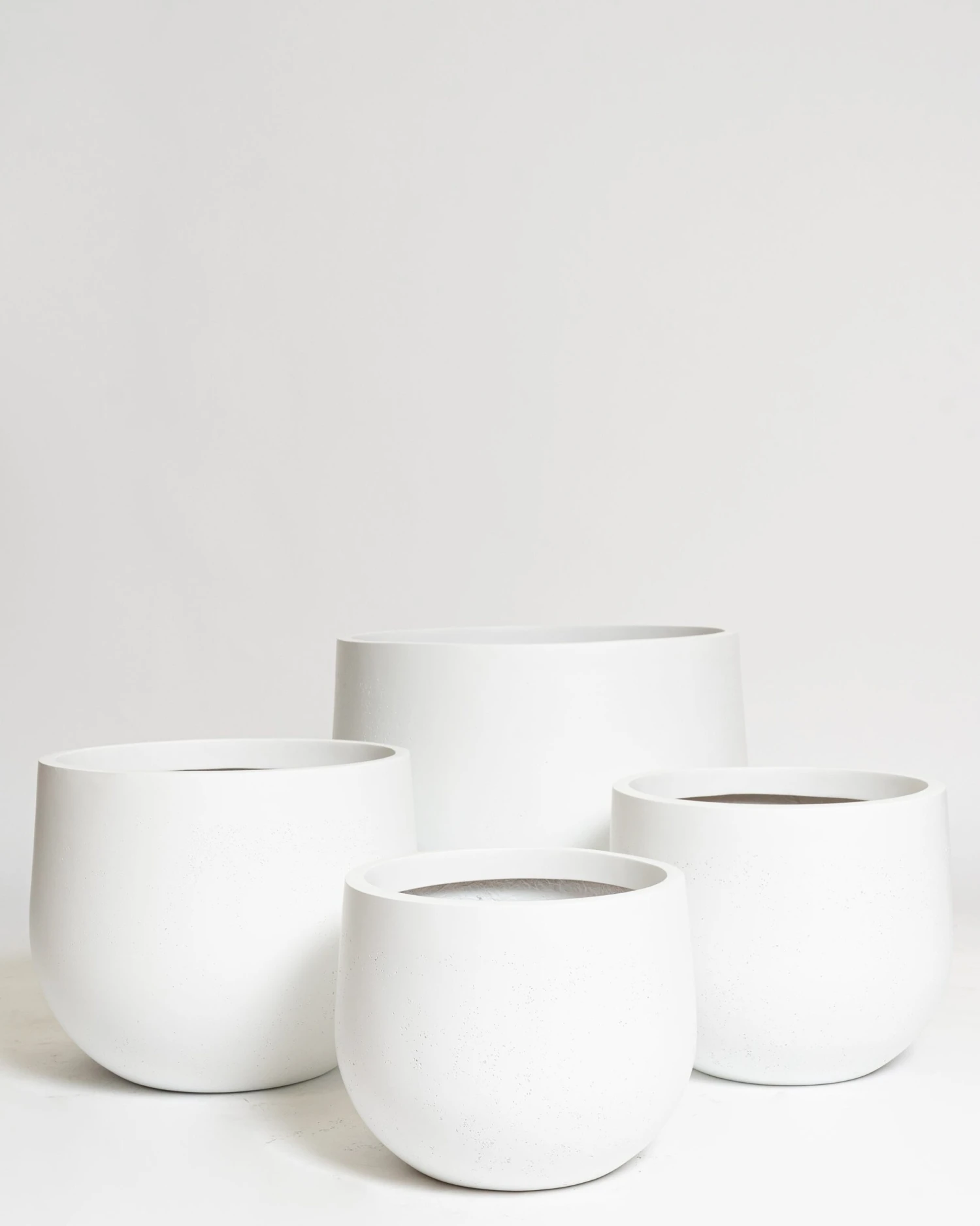 Hakea Pot 1 Hakea Pot