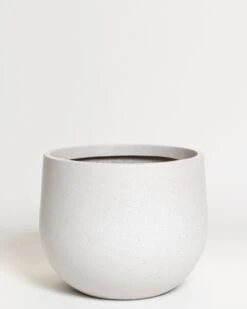 Hakea Pot 27 Hakea Pot -Waldecks Store Terreno ecomm 27 large