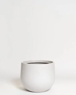 Hakea Pot 25 Hakea Pot -Waldecks Store Terreno ecomm 27 small