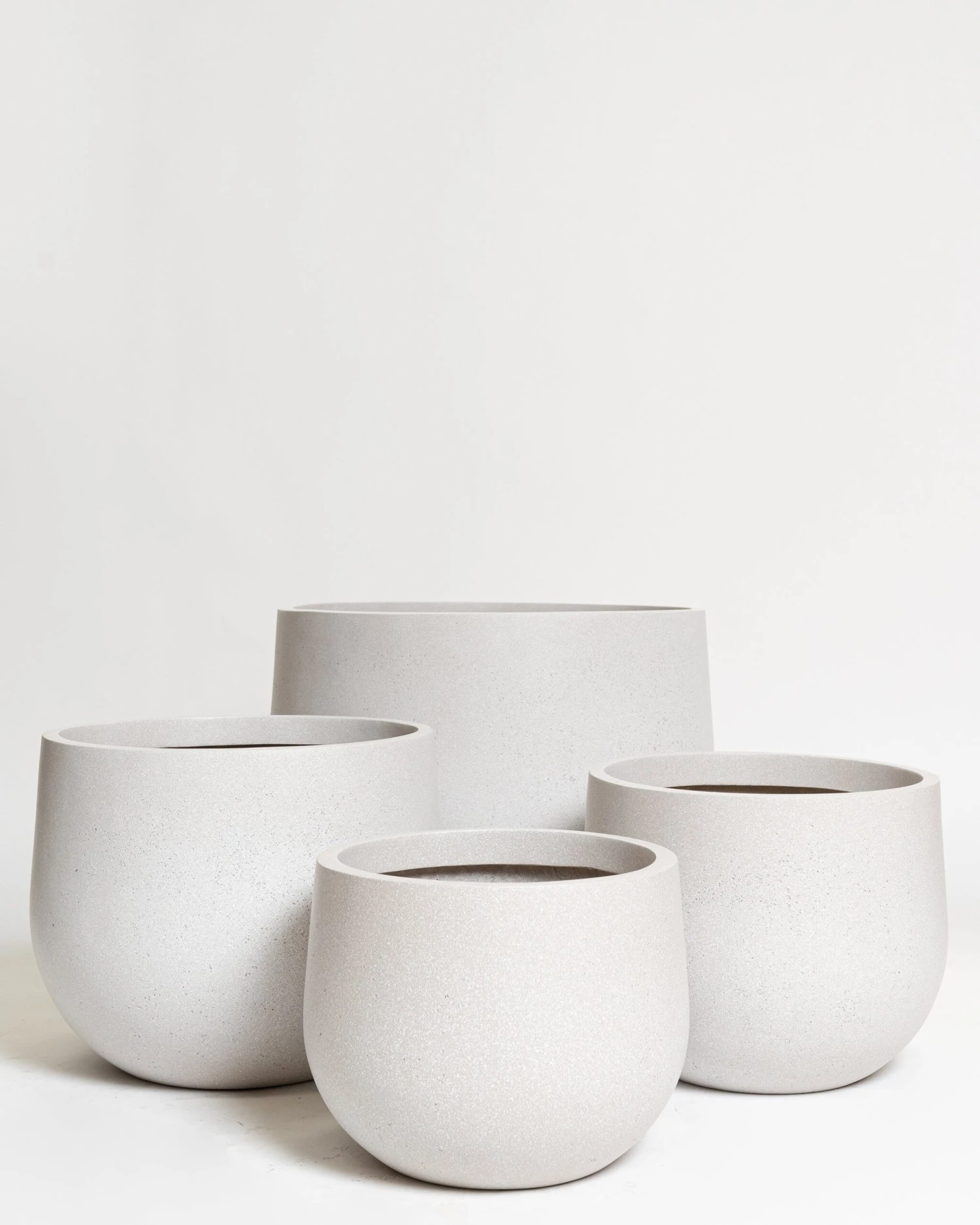 Hakea Pot 10 Hakea Pot - Image 10