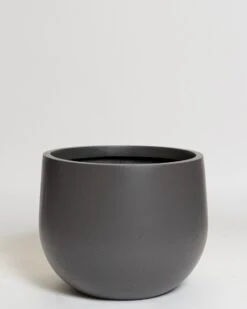 Hakea Pot 32 Hakea Pot -Waldecks Store Terreno ecomm 29 large