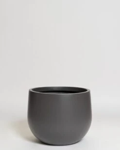 Hakea Pot 31 Hakea Pot -Waldecks Store Terreno ecomm 29 medium