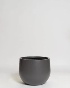 Hakea Pot 30 Hakea Pot -Waldecks Store Terreno ecomm 29 small