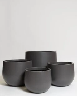 Hakea Pot 34 Hakea Pot -Waldecks Store Terreno ecomm 30 group