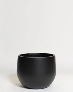 Hakea Pot 36 Hakea Pot -Waldecks Store Terreno ecomm 31 medium