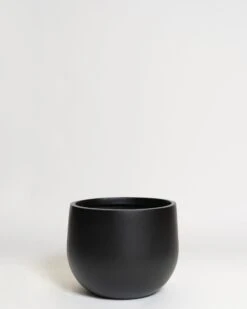 Hakea Pot 35 Hakea Pot -Waldecks Store Terreno ecomm 31 small