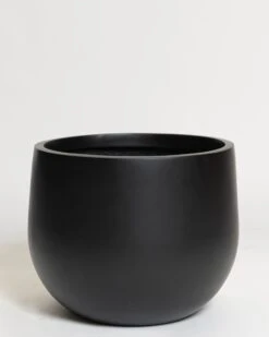 Hakea Pot 38 Hakea Pot -Waldecks Store Terreno ecomm 31 xtra large