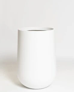 Acacia Pot -Waldecks Store Terreno ecomm 41 large