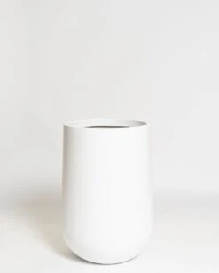 Acacia Pot -Waldecks Store Terreno ecomm 41 medium