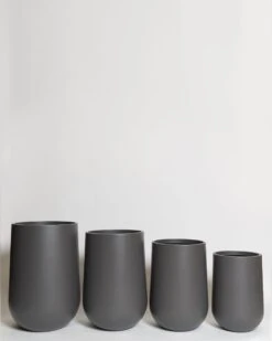 Acacia Pot -Waldecks Store Terreno ecomm 46 group