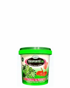 Troforte Indoor And Patio