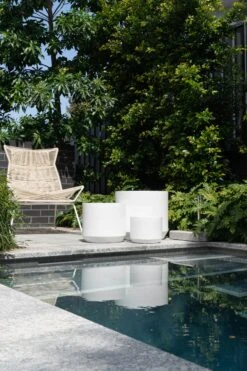 Kurrajong Pot -Waldecks Store Waldecks day1 editorial 4